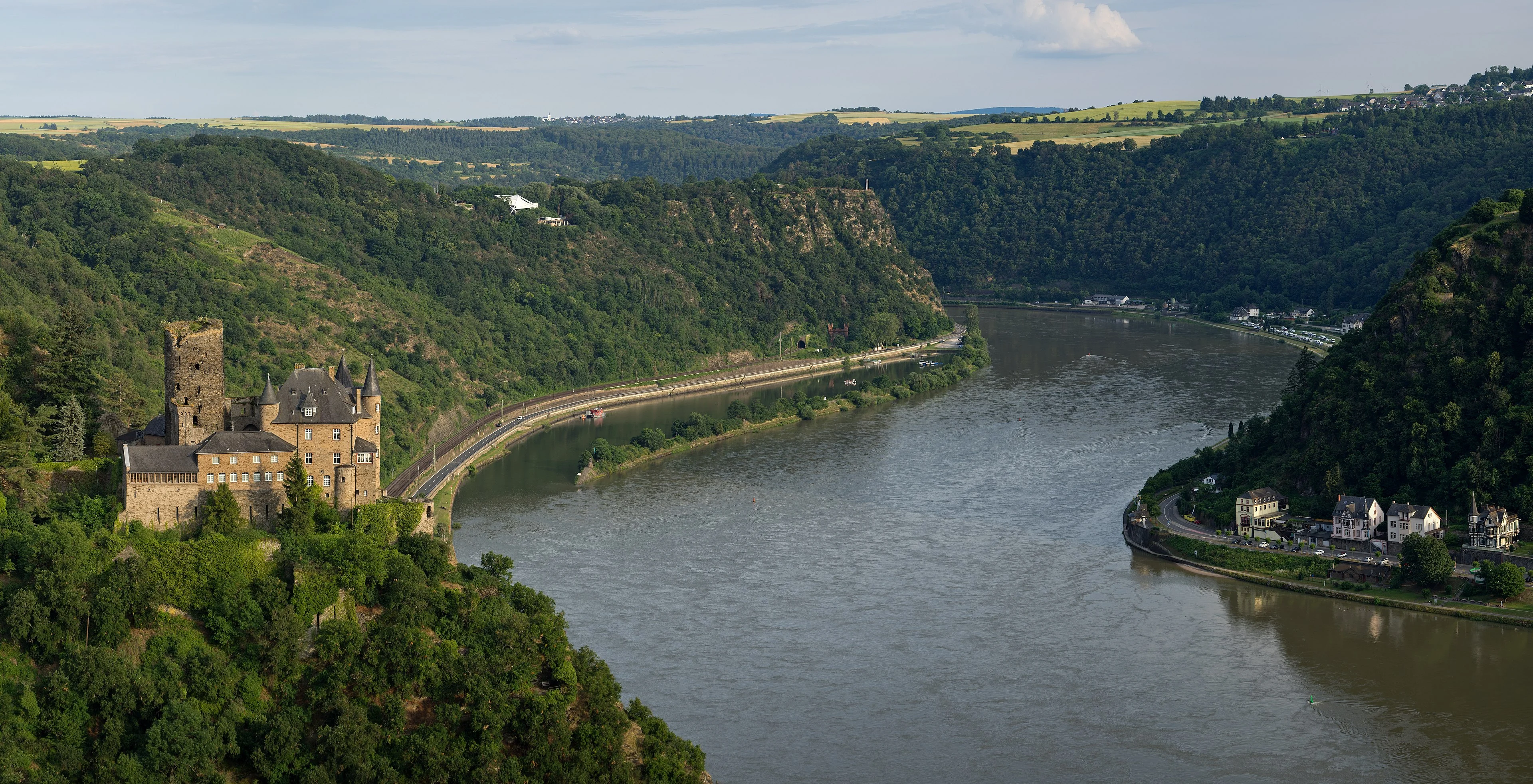 Loreley – Weinberge am Rhein