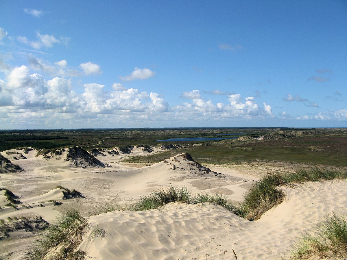 Råbjerg Mile – landmark