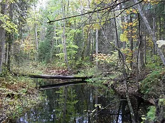 Alutaguse-erdő
