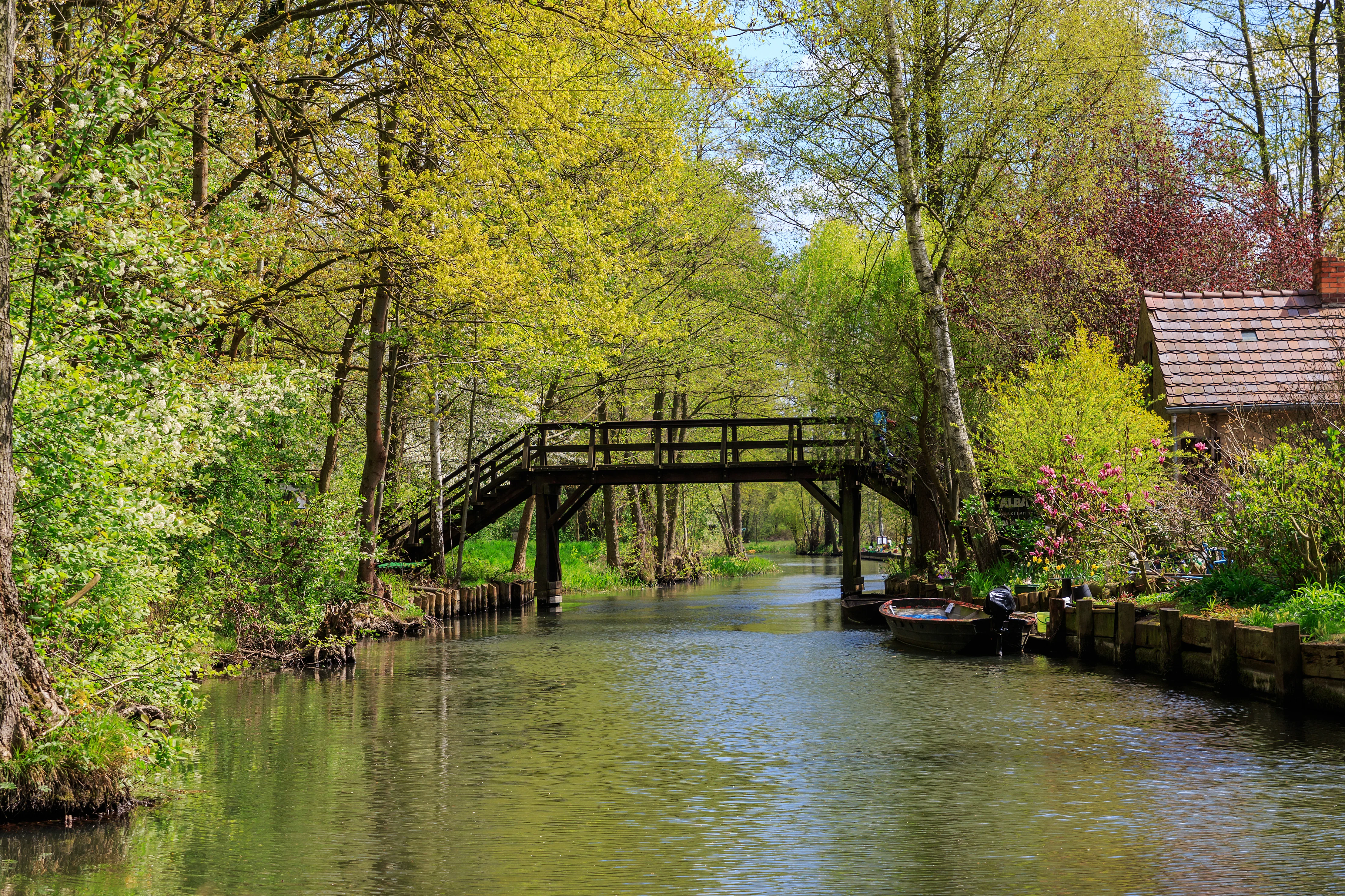Spreewald – Wald