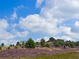 Wilseder Berg – Berg