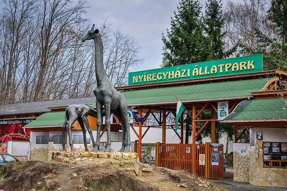 Nyíregyházi Állatkert – látnivaló