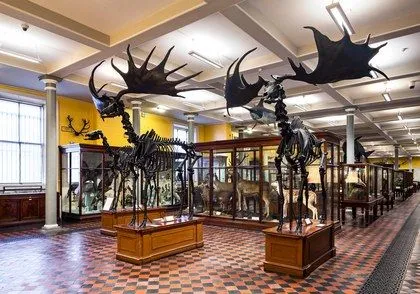 National Museum of Ireland – obiectiv turistic
