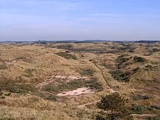 Zuid-Kennemerland Nemzeti Park – látnivaló