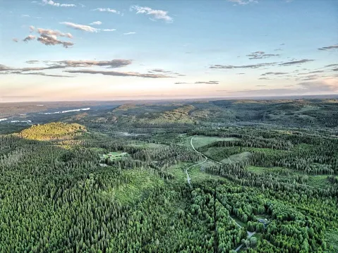 Finnskogen – erdő