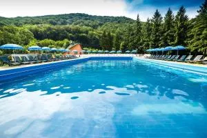 Stațiunea Moneasa – obiectiv turistic