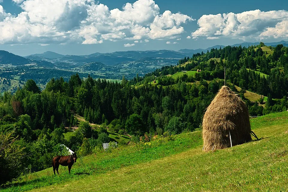 Parcul Național Munții Rodnei – obiectiv turistic