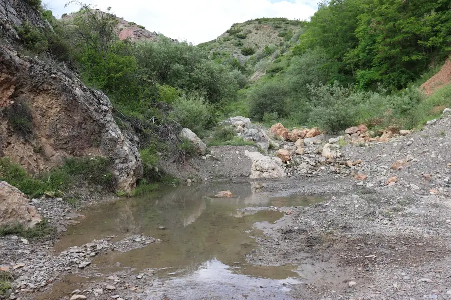 Kodžadžik