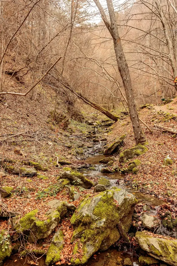 Pehčevo Waterfalls