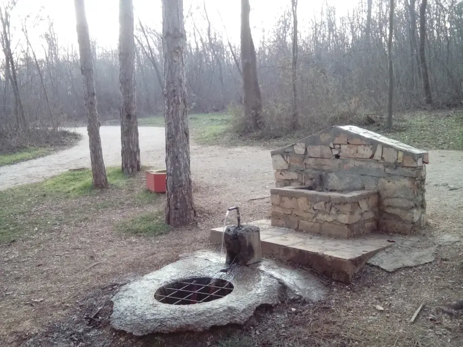 Waldpark Gazi Baba — Matka-Canyon (Nordmazedonien)