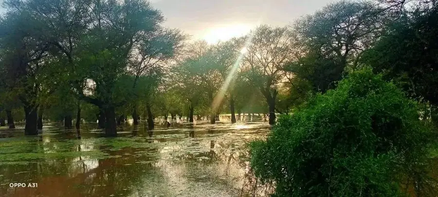 Abu Zabad