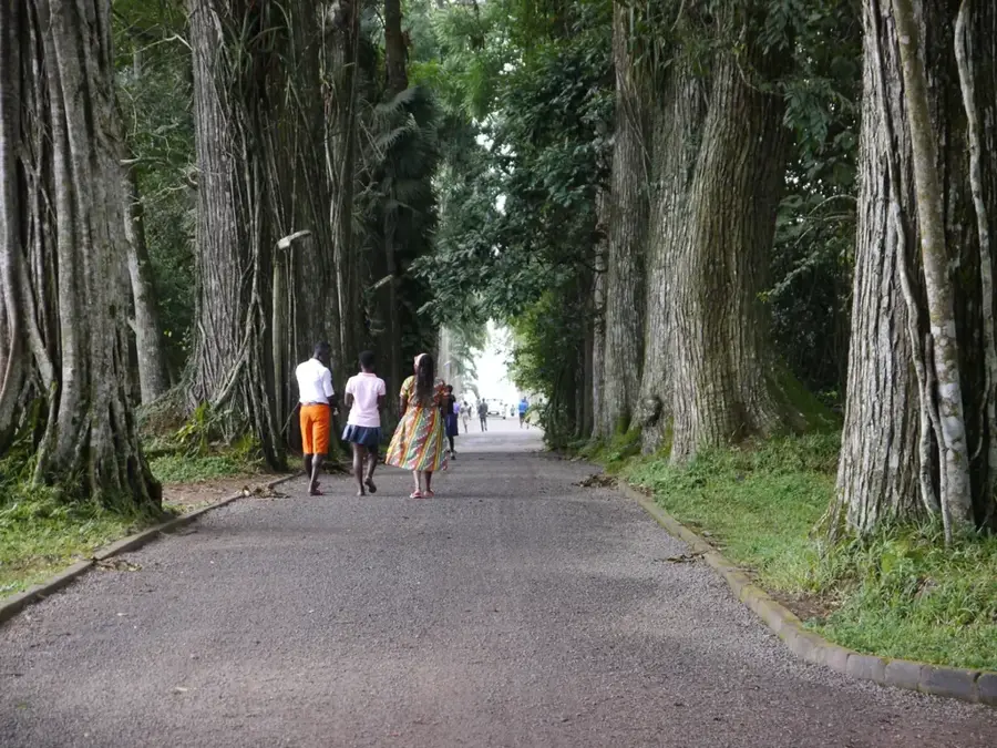 Aburi Botanical Gardens — Dome (Ghana)
