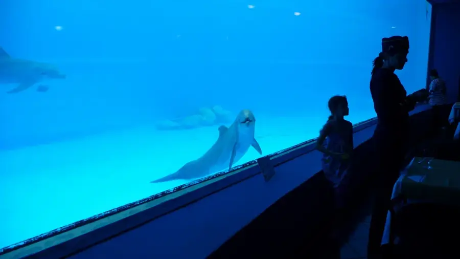 National Aquarium of Cuba