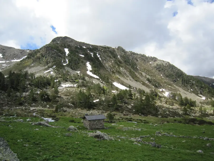 Erdei gyümölcs szüret Ordinóban — Les Salines (Andorra)