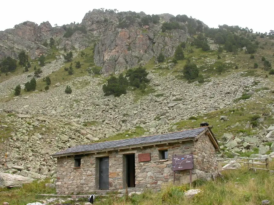 Potârnichea de stâncă la altitudini mari — Zăgan pe vârfurile înalte (Andorra)