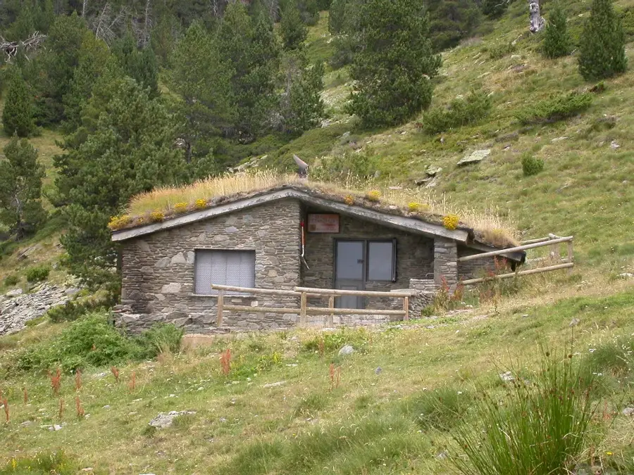 Macskabagoly az idős erdőkben — Les Salines (Andorra)