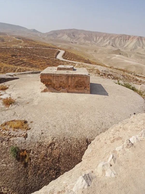 Samangan Almond Orchards