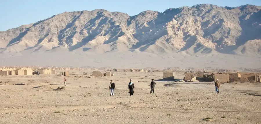 Safranfelder von Herat