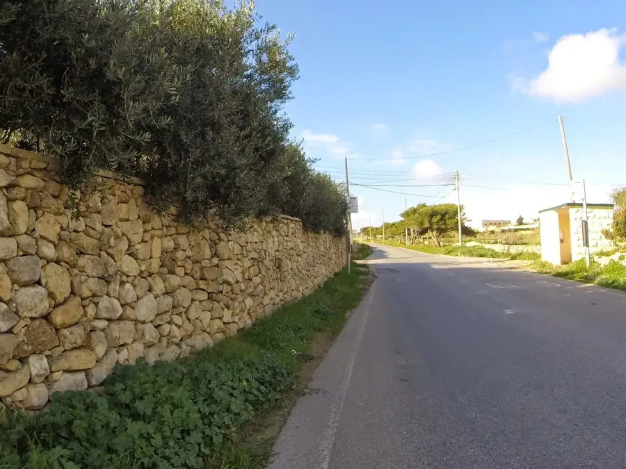 Bahrijai Farmok