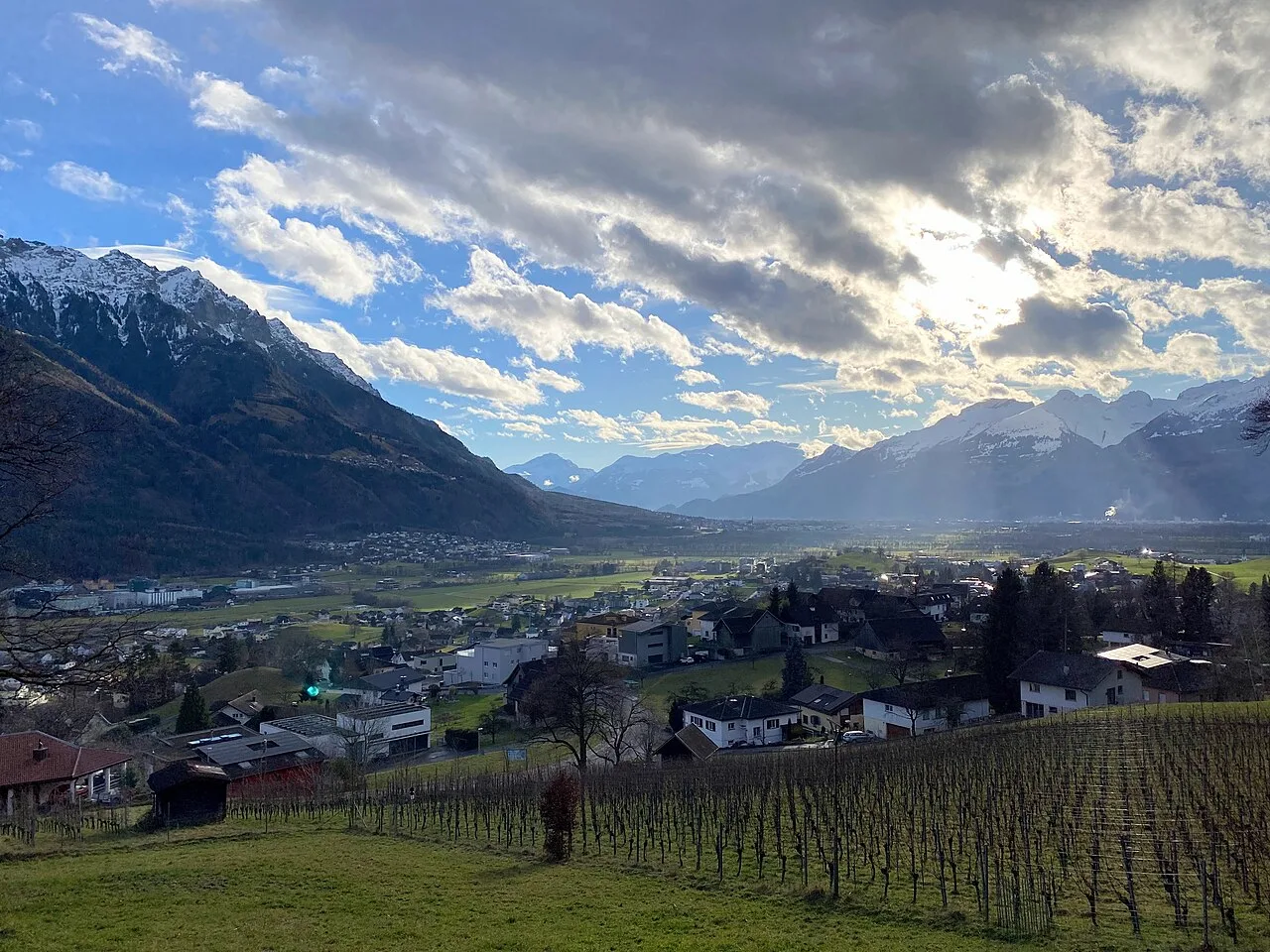 Eschen Biofarm 4 — Wes (Liechtenstein)