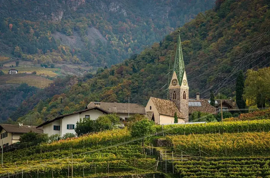 Weinberge des Dorfes Letymbou — Evretou-Staudamm (Zypern)