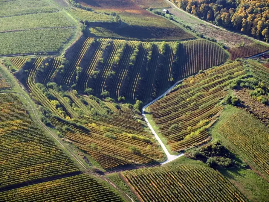 Mikulov Wine Region