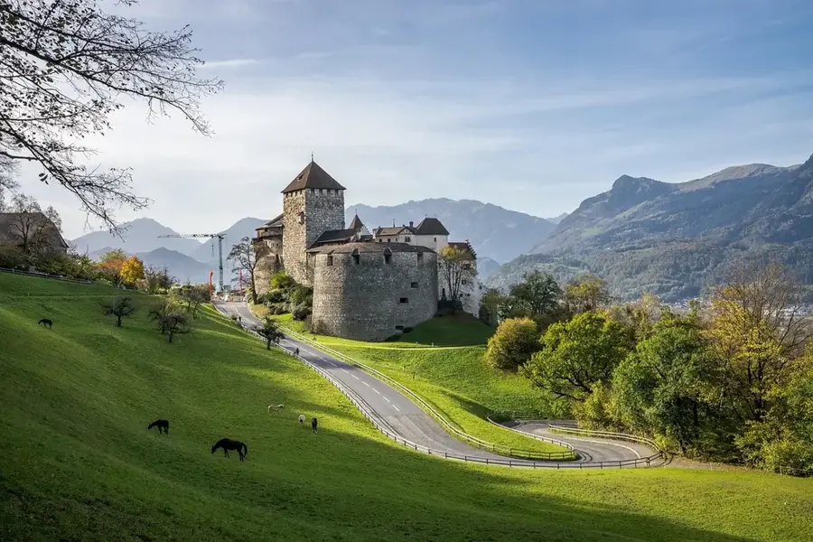 Vaduz Organic Farm 11