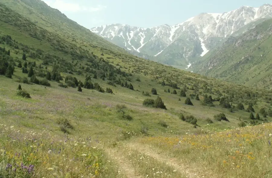 Rezervația Naturală Aksu-Zhabagly
