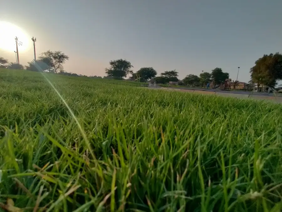 Parcul Public Al Ahmadi — Complexul Petrochimic Equate (Kuweit)