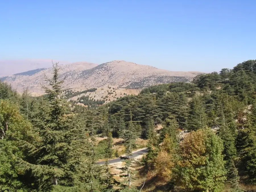 Rezervația naturală a cedrilor Al-Shouf