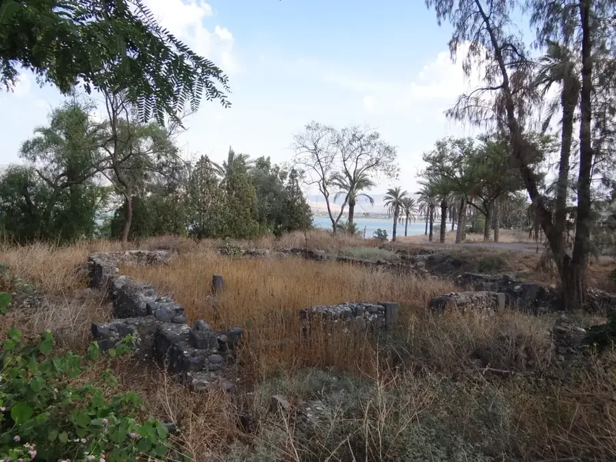 Al-Sinn — Ghab-Ebene (Syrien)