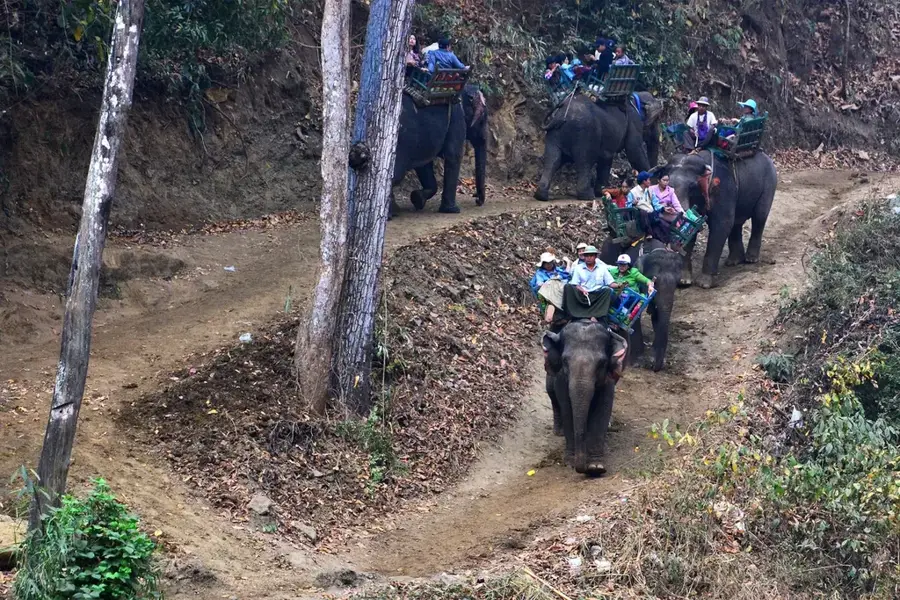 Parcul Național Alaungdaw Kathapa — Monywa (Myanmar (Birmania))