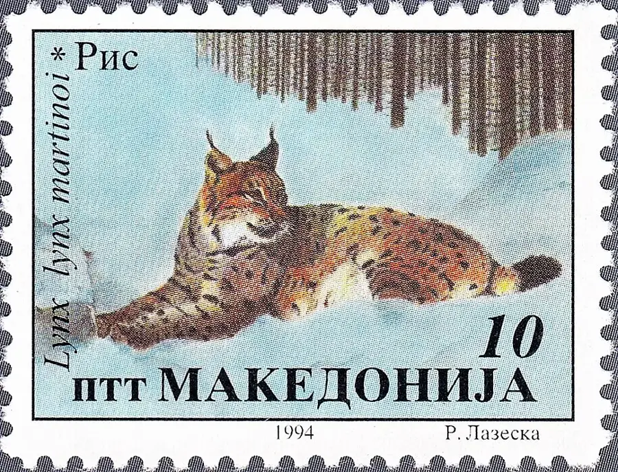 Regionaler Naturpark Nikaj-Mërtur — Valbona-Tal (Albanien)