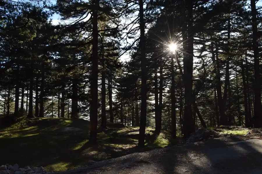 Shtamë-hágó Nemzeti Park — Dajti-hegy (Albánia)