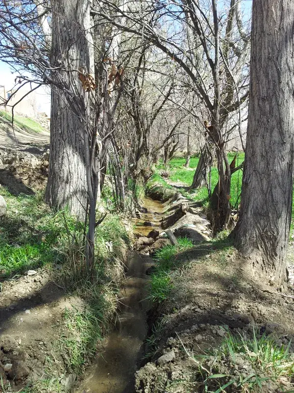 Zerqan — Berg Korab (Albanien)