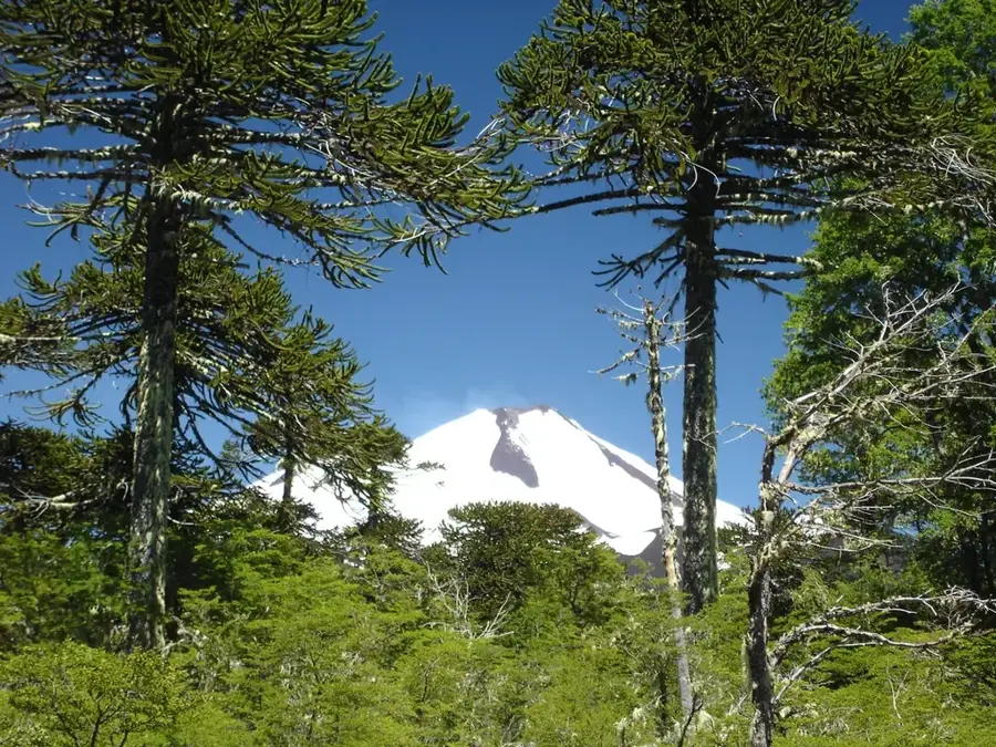 Grădina Botanică Hamma — Boumerdès (Algeria)
