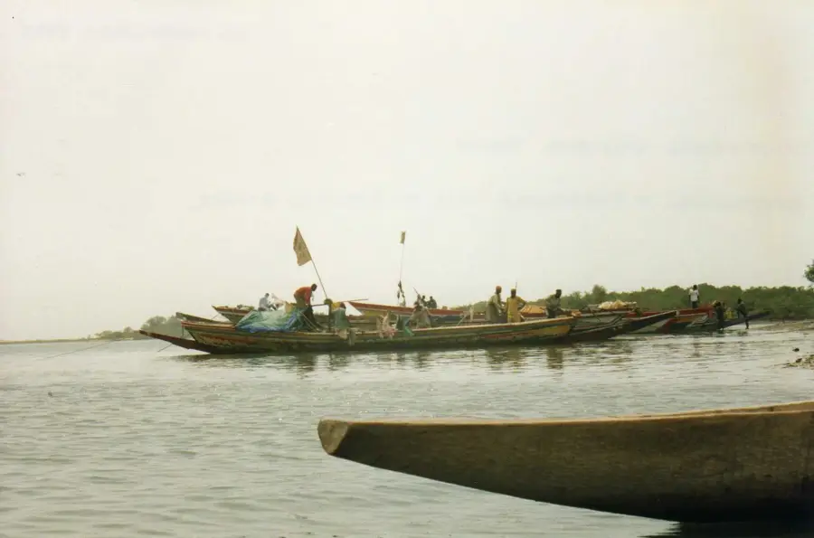 Allahein River — Kartong Cliffs (Gambia)