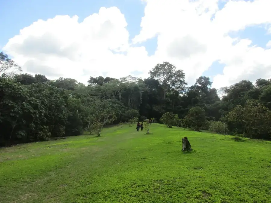 Allpahuayo Mishana Nemzeti Rezervátum — Napo (Peru)