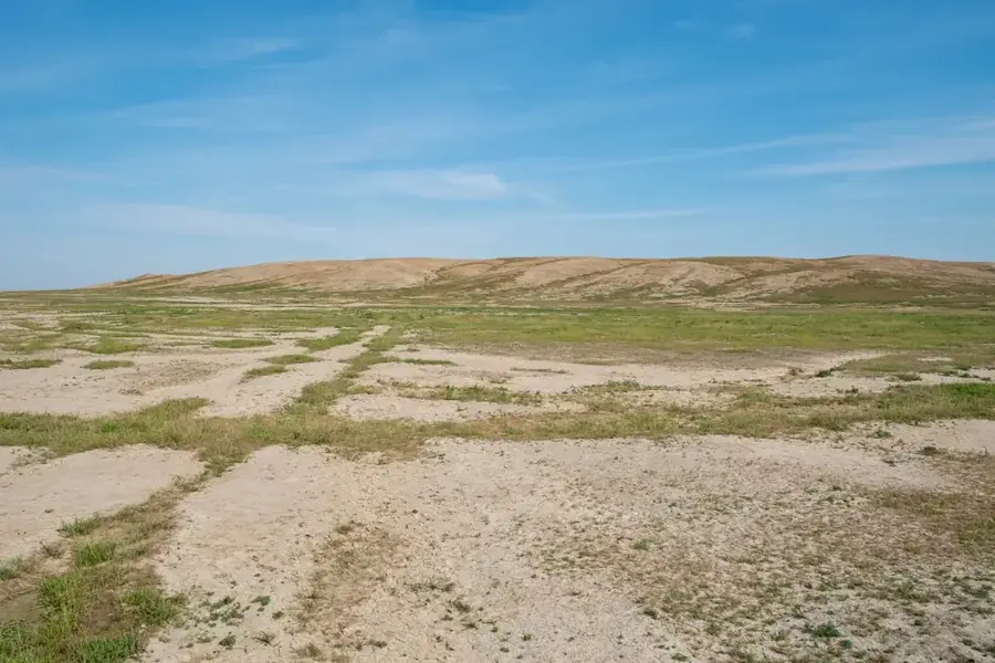 Altyn Depe — Mașhad (Iran)