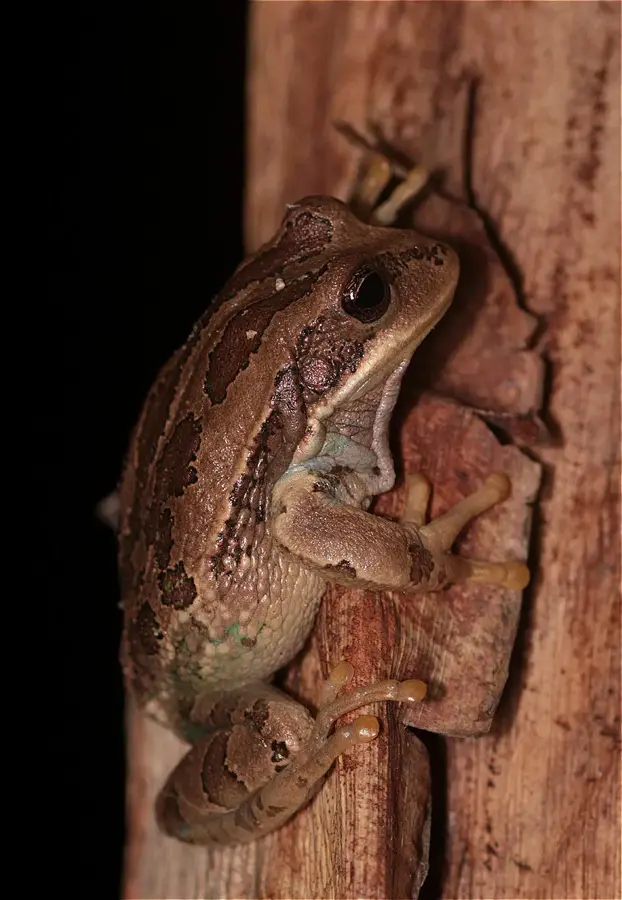 Amaru Biopark Cuenca — Industriepark Cuenca (Ecuador)