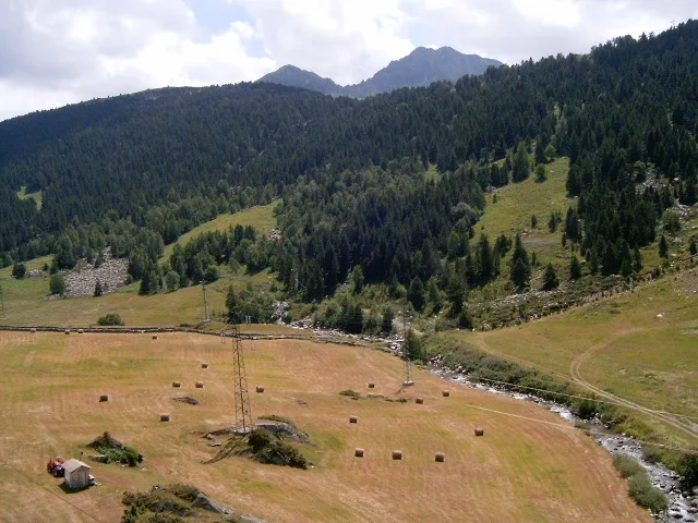 Serra de Ensagents