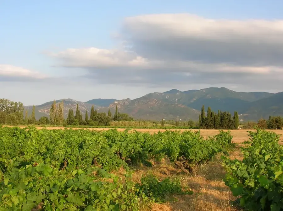 Serra de l'Obaga