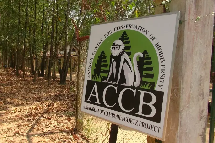 Angkor Zentrum für Biodiversitätserhaltung — Preah Ko (Kambodscha)