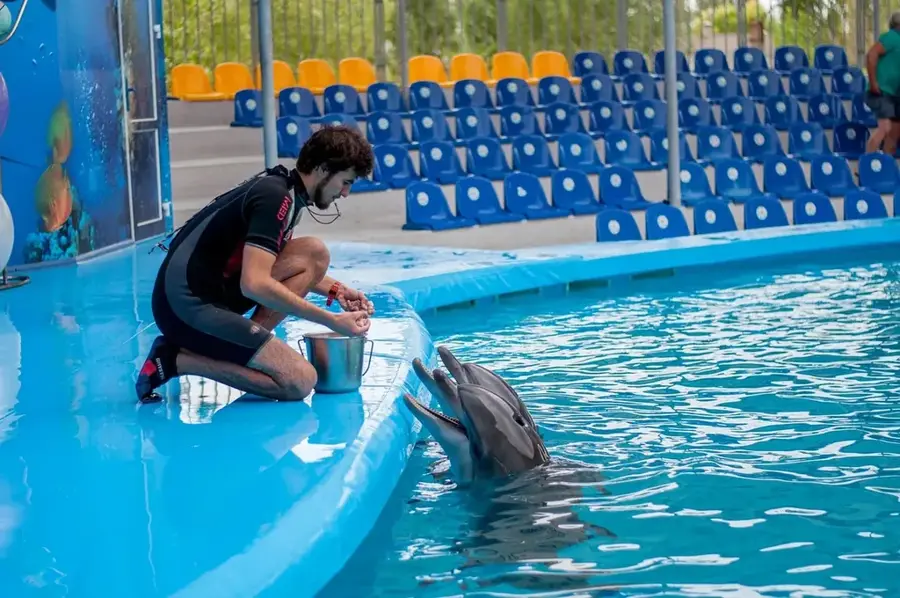 Delfinariul Constanța