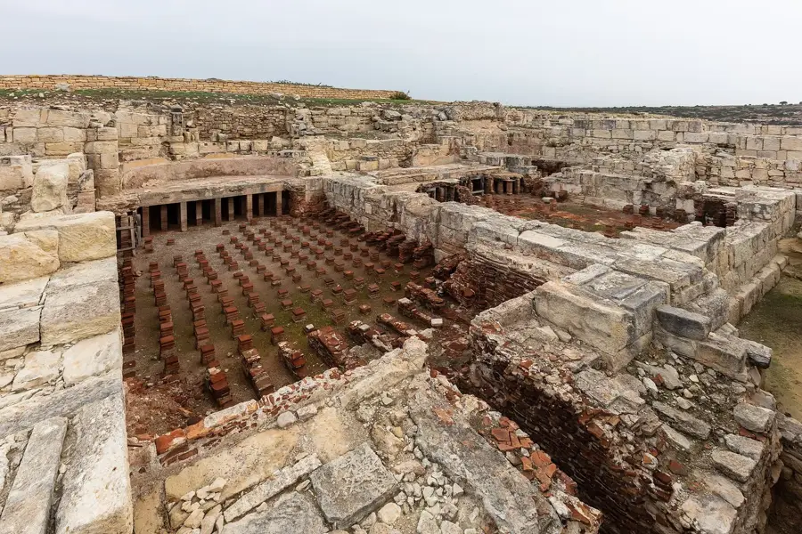 Vulturii suri din Golful Episkopi