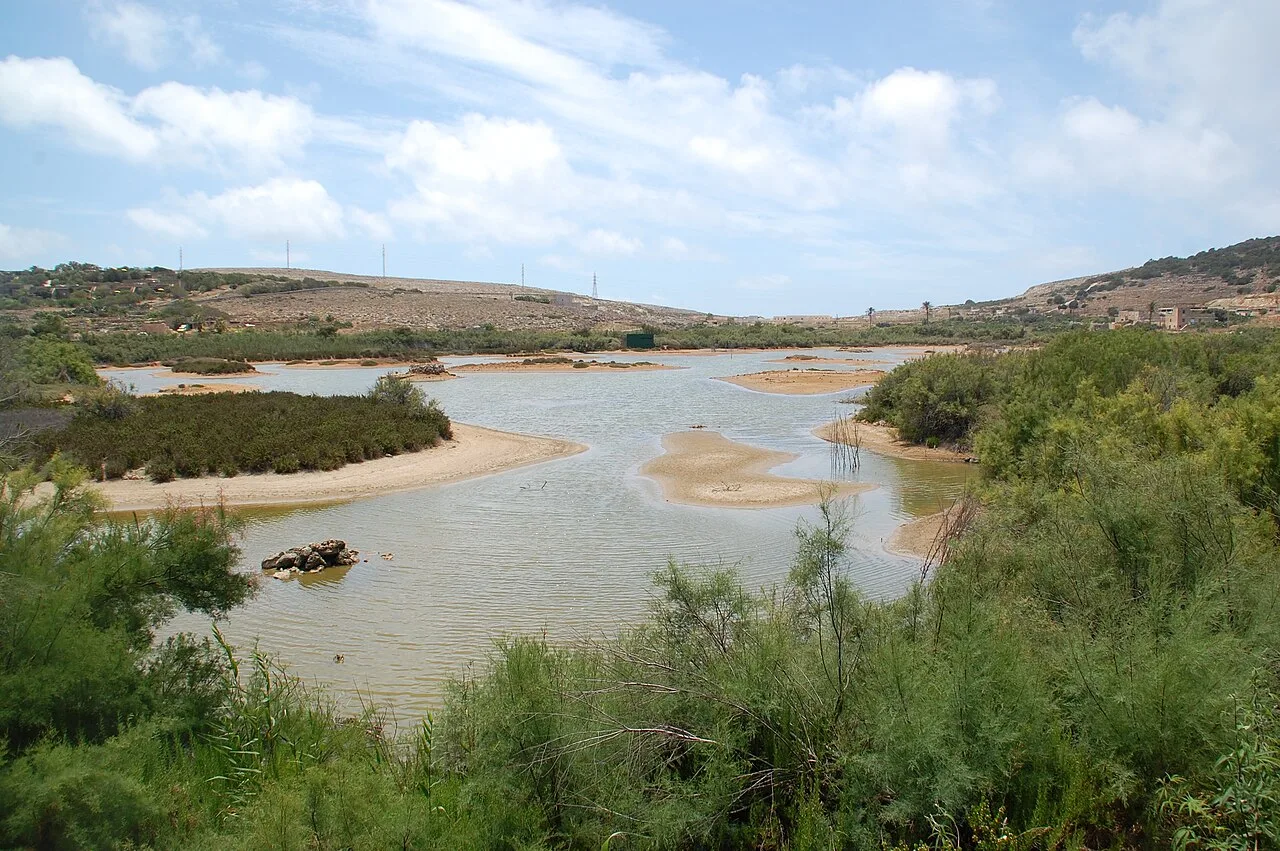 Ghadira Naturreservat — Għadira ta' Sarraflu (Malta)