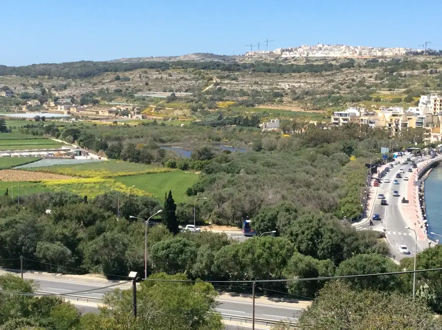 Sanctuarul de Păsări Is-Simar — Insulele Sf. Paul (Malta)