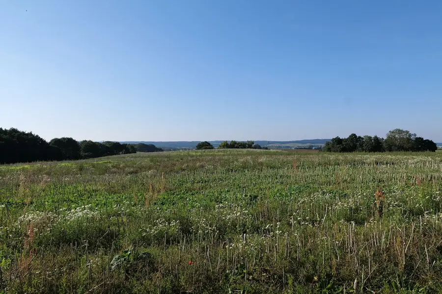 Kranich-Rastplätze Mecklenburg