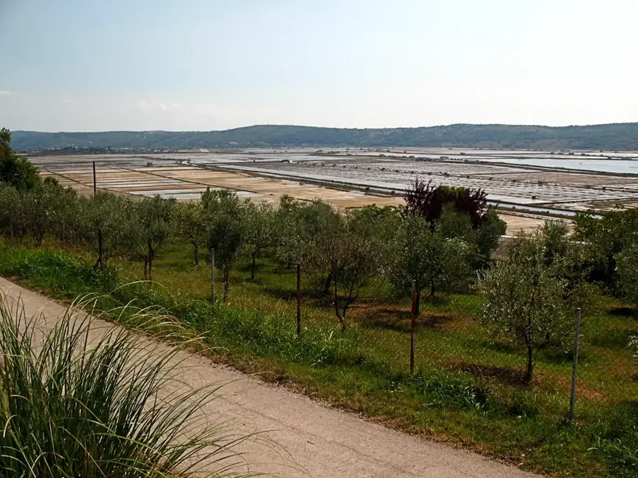 Parcul Natural Salina