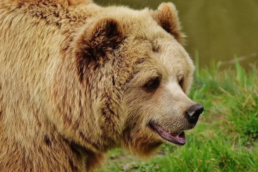 Wildpark Poing (Deutschland)